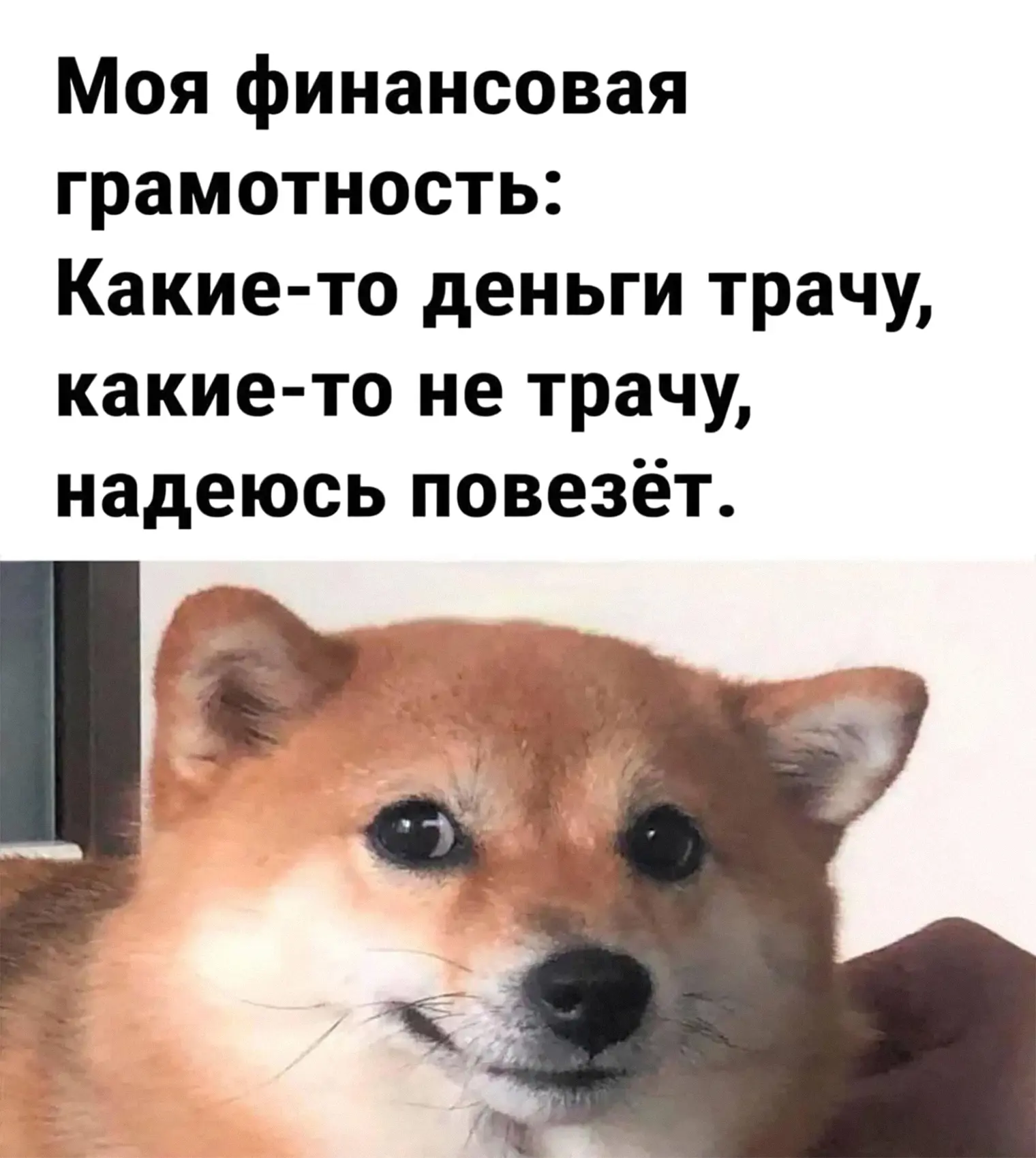 Знакомо?