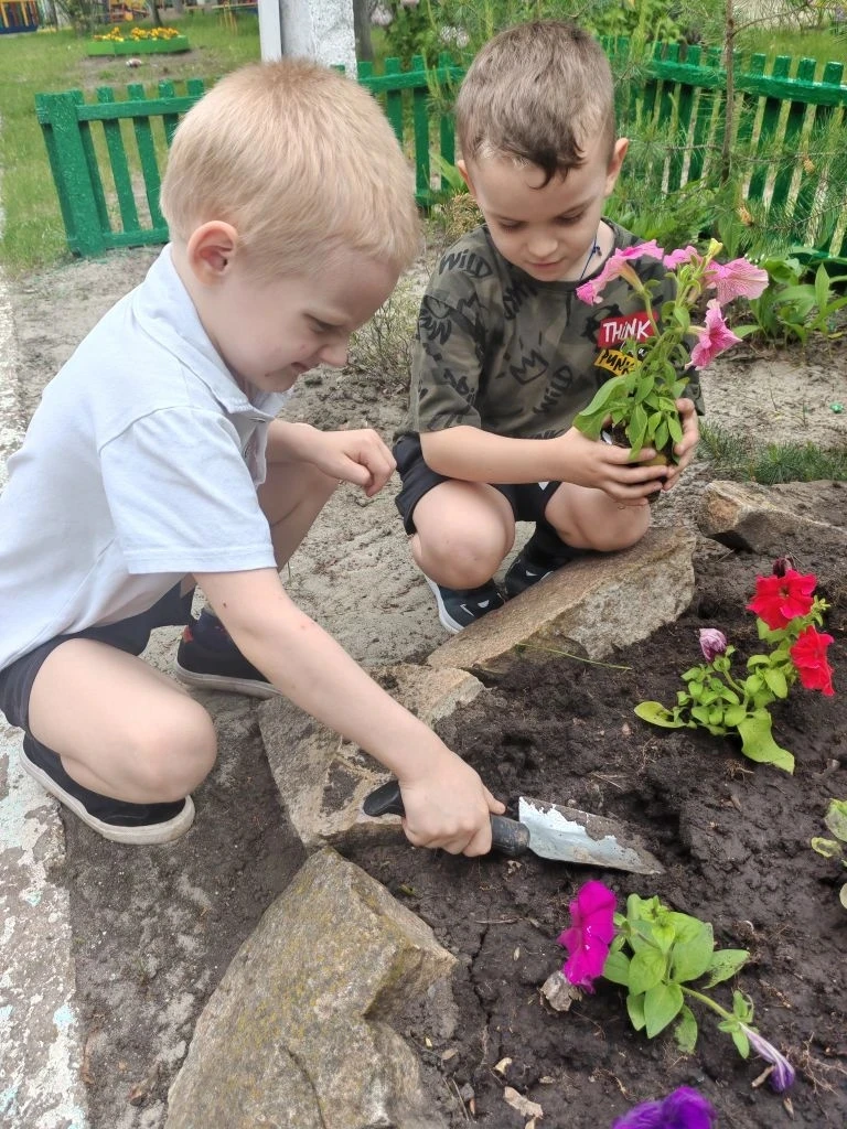 🌺 Наша клумба просто чудо! 🌺