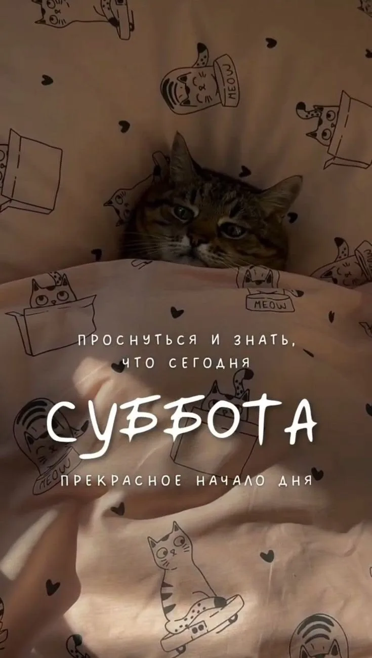 Доброе субботнее утро ❤️🍓