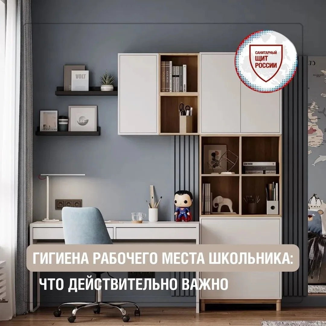 Комфортное рабочее место 🖌 – один из факторов успешной учебы. Правильное освещение, уд...