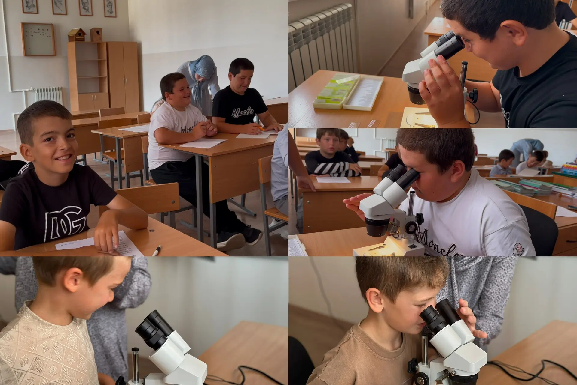 🌿 С 3 августа в нашей школе стартовала летняя площадка «Занимательная биология и Тропи...
