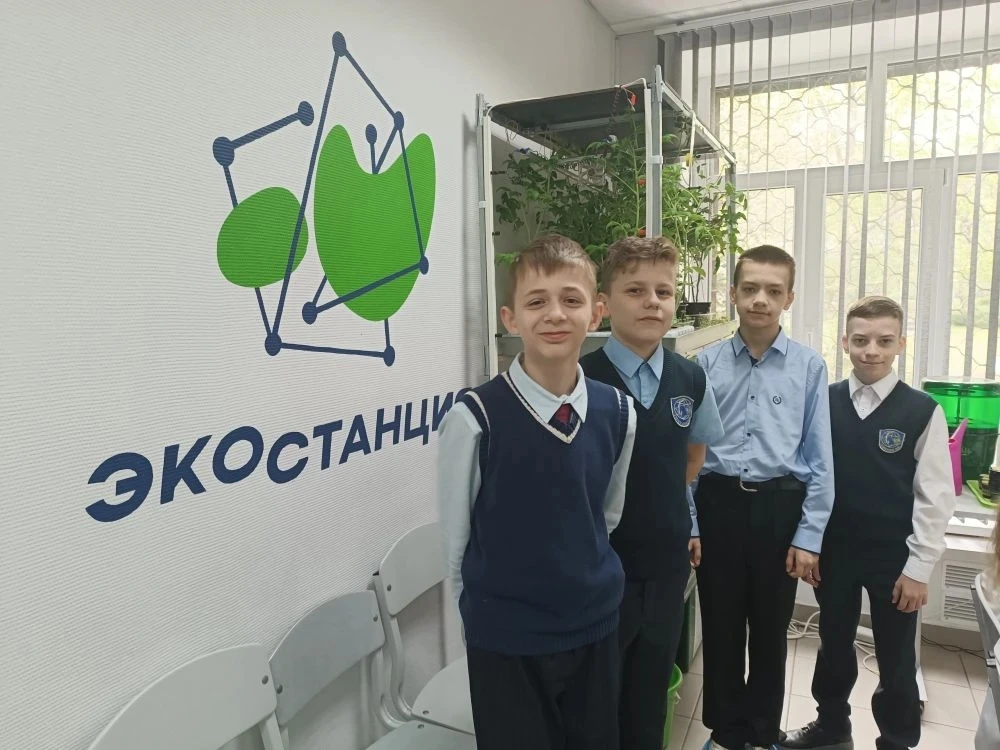 🌿Отличные новости! Подведены итоги муниципального экологического турнира «Мой город – ...