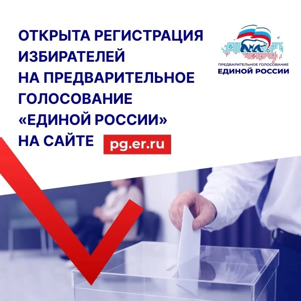Предварительное голосование пройдёт