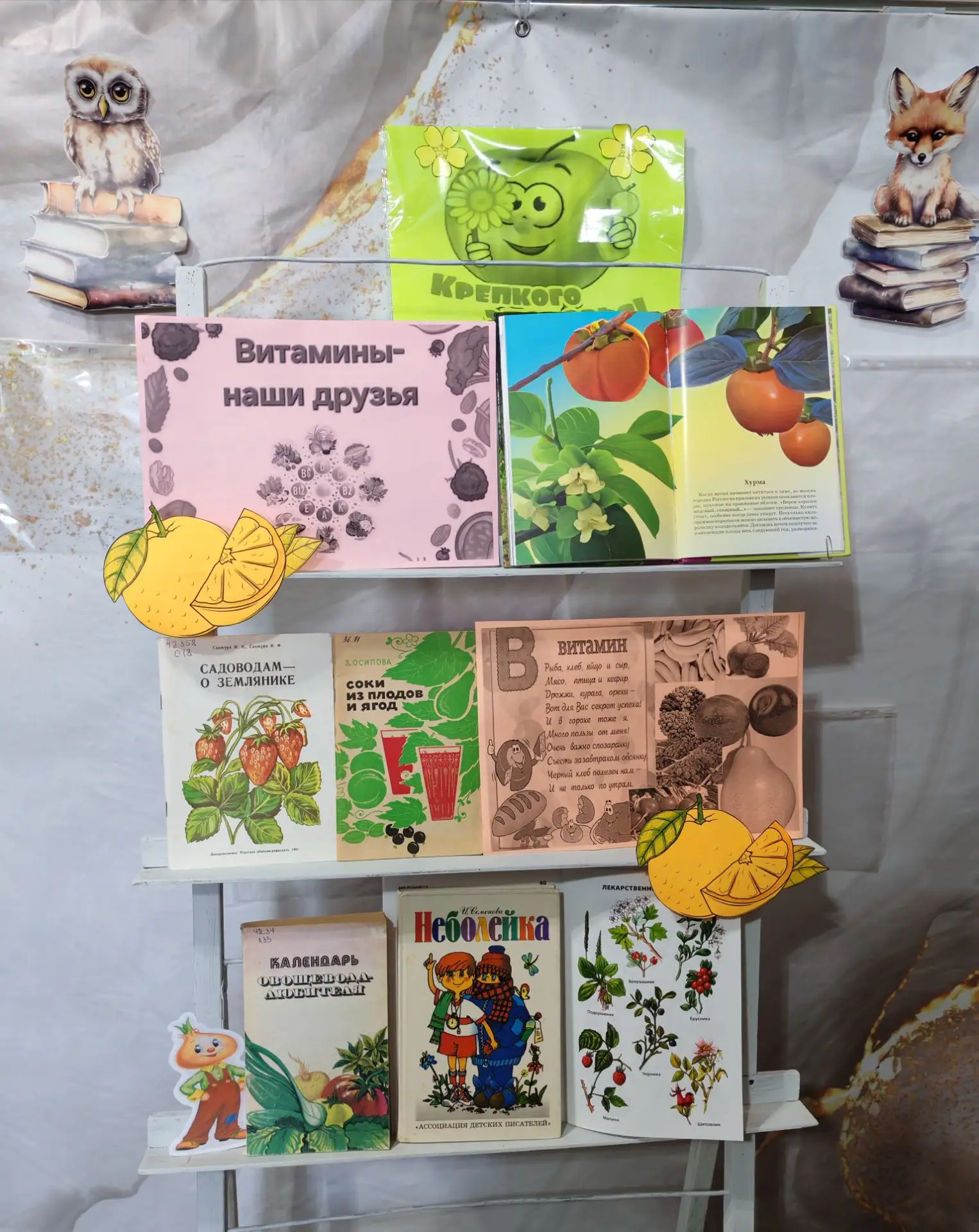 🍋Витамины наши друзья 🍏