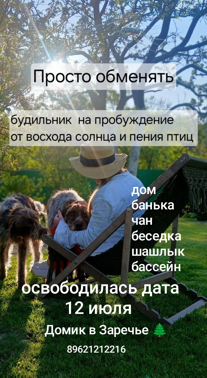 Кто заберёт? 😊
