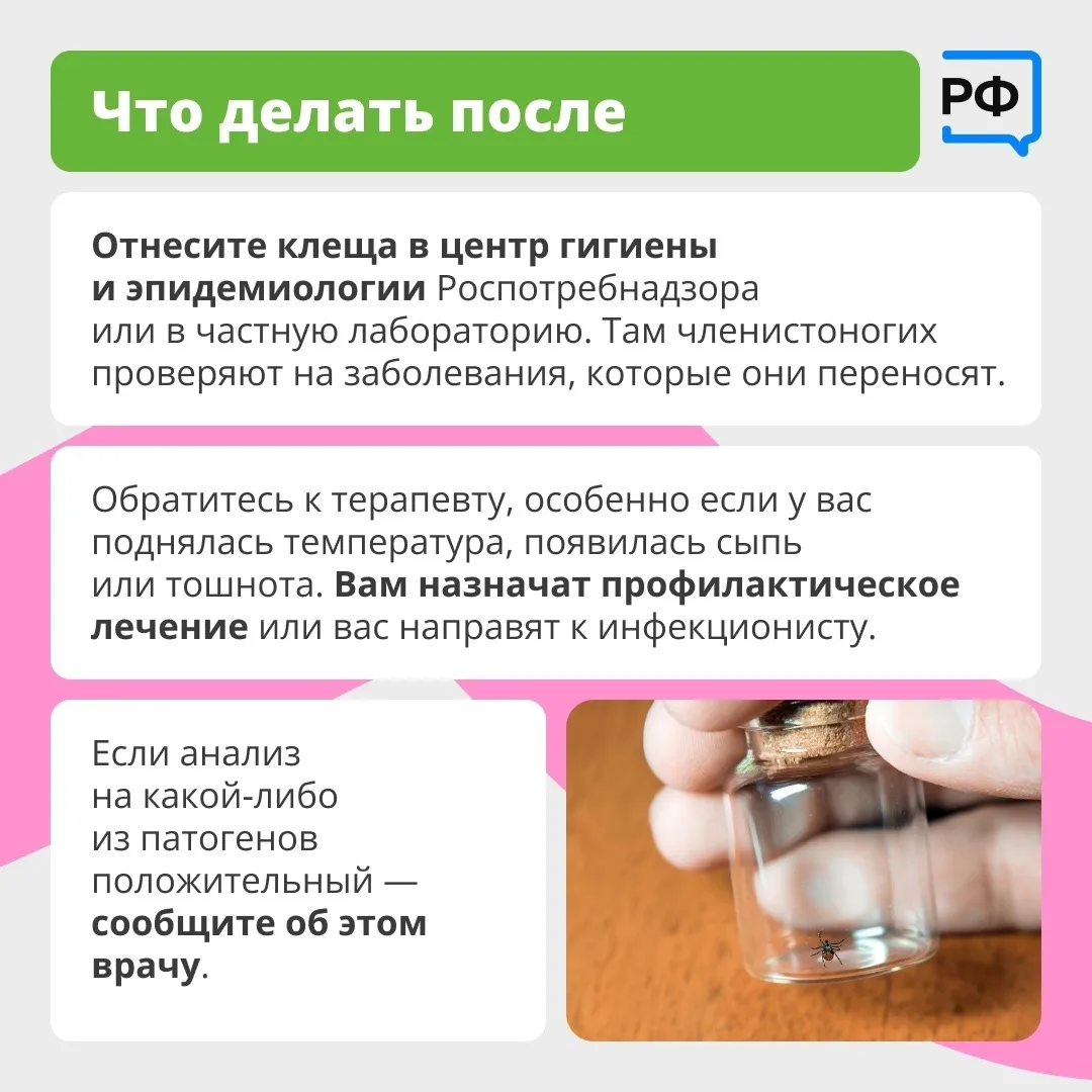 Вместе с клещом можно подцепить опасные болезни. Например, боррелиоз — он затрагивает кожу, сердце и
