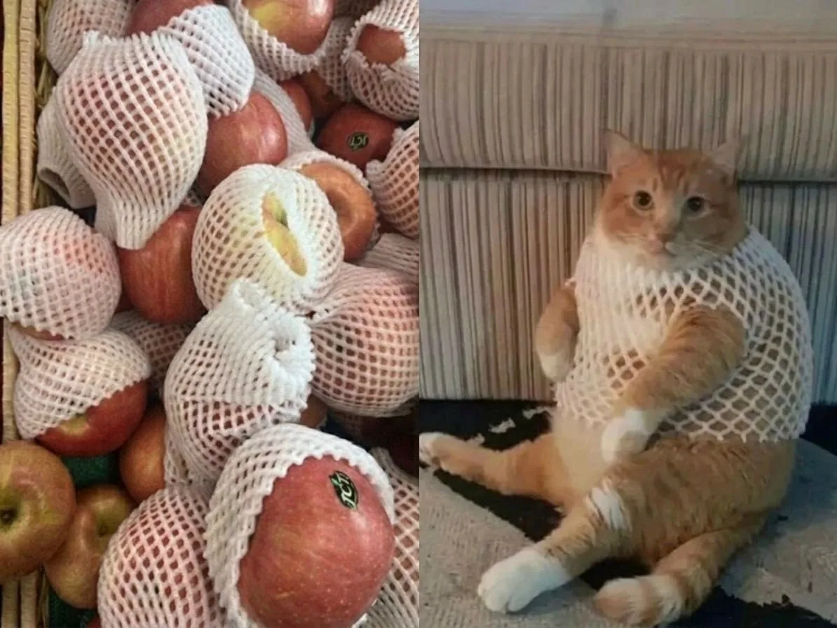 Не вижу никакой разницы🍎

Коська