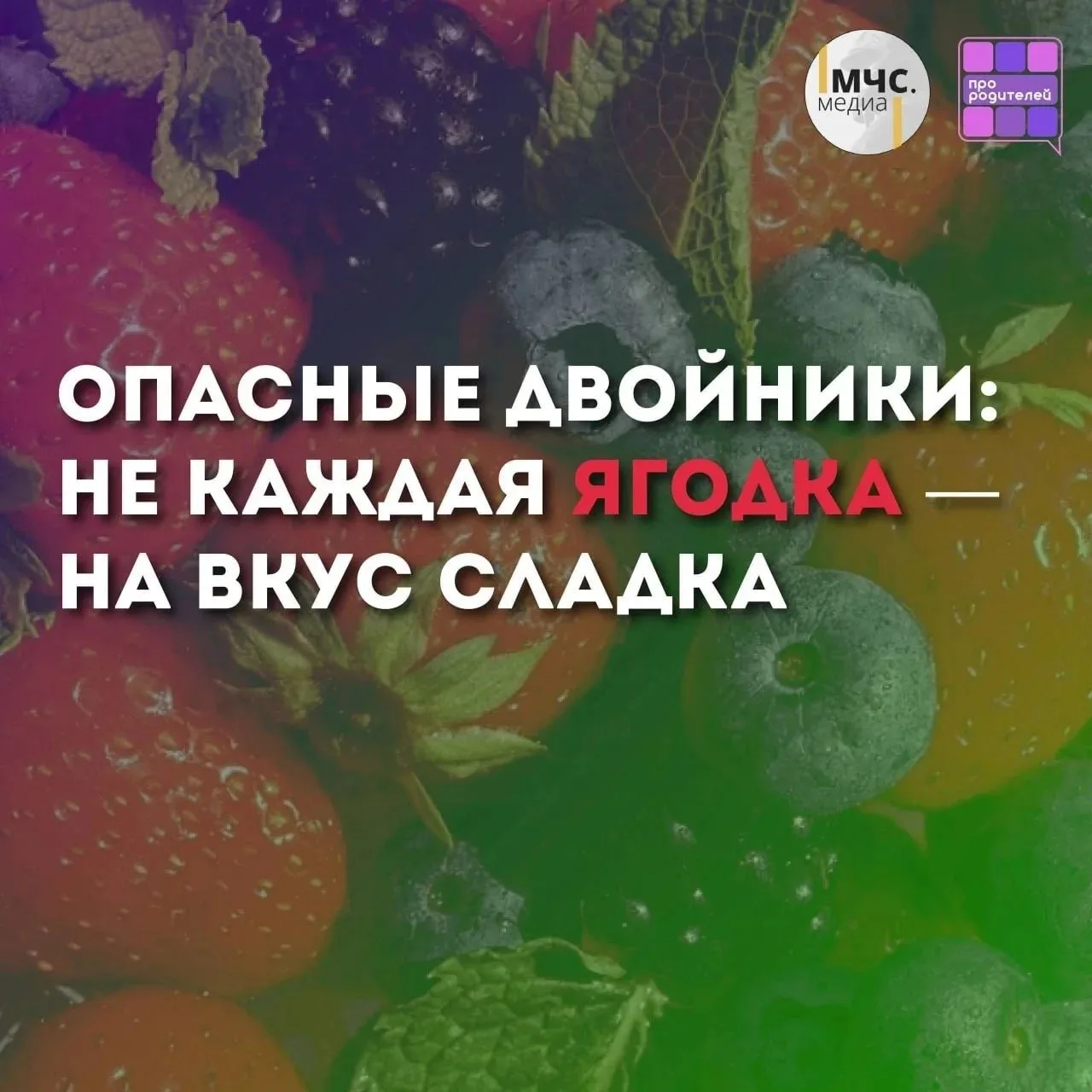 Ягодка с подвохом: как яркие плоды могут ввести в заблуждение и навредить здоровью

Лето — время про