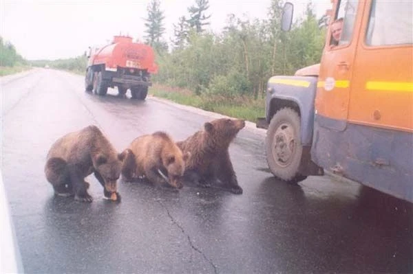 🚓ДТП 03 БУРЯТИЯ