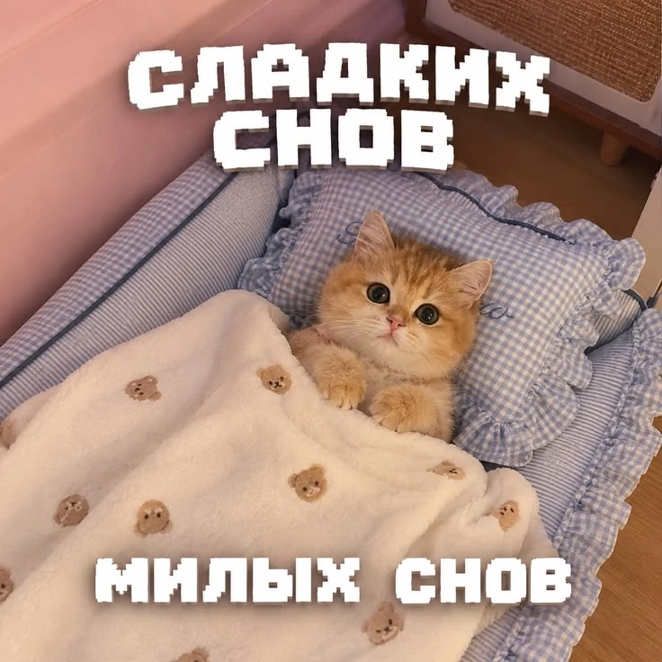 #спокойнойночи