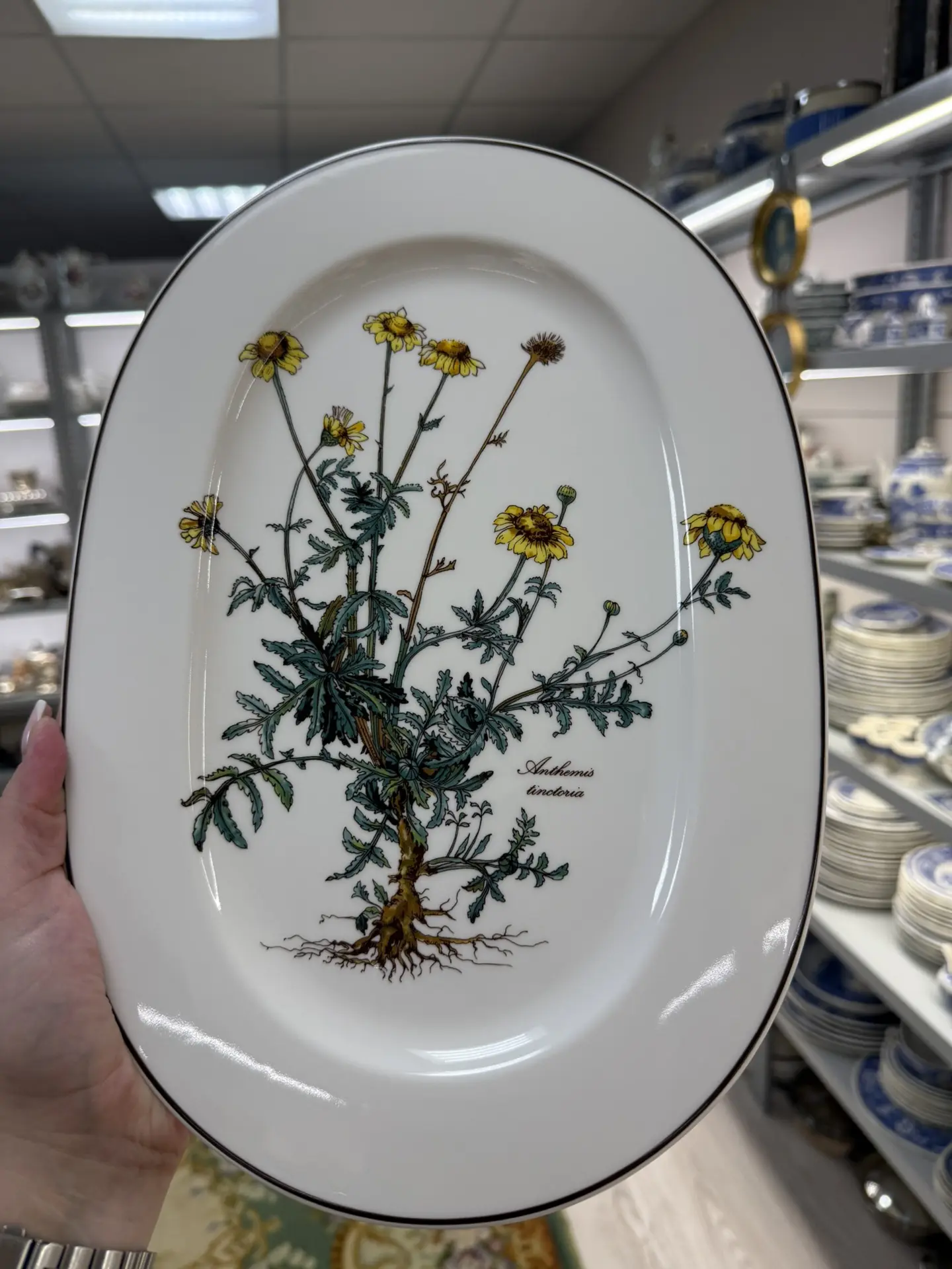 🌼Овальное блюдо Villeroy&Boch Botanica с изображением пупавки красильной (Anthemis tin...