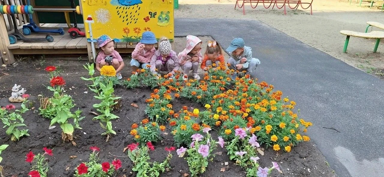 В детском саду №200 прошел День флориста. 

Воспитанники посвятили этот день цветам и декоративным р