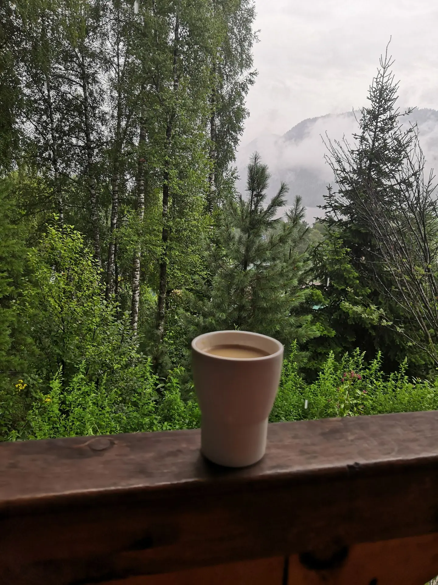 ️🌲🏔️🌲... Нет ничего прекраснее прохладного раннего августовского утра с чашкой кофе ...
