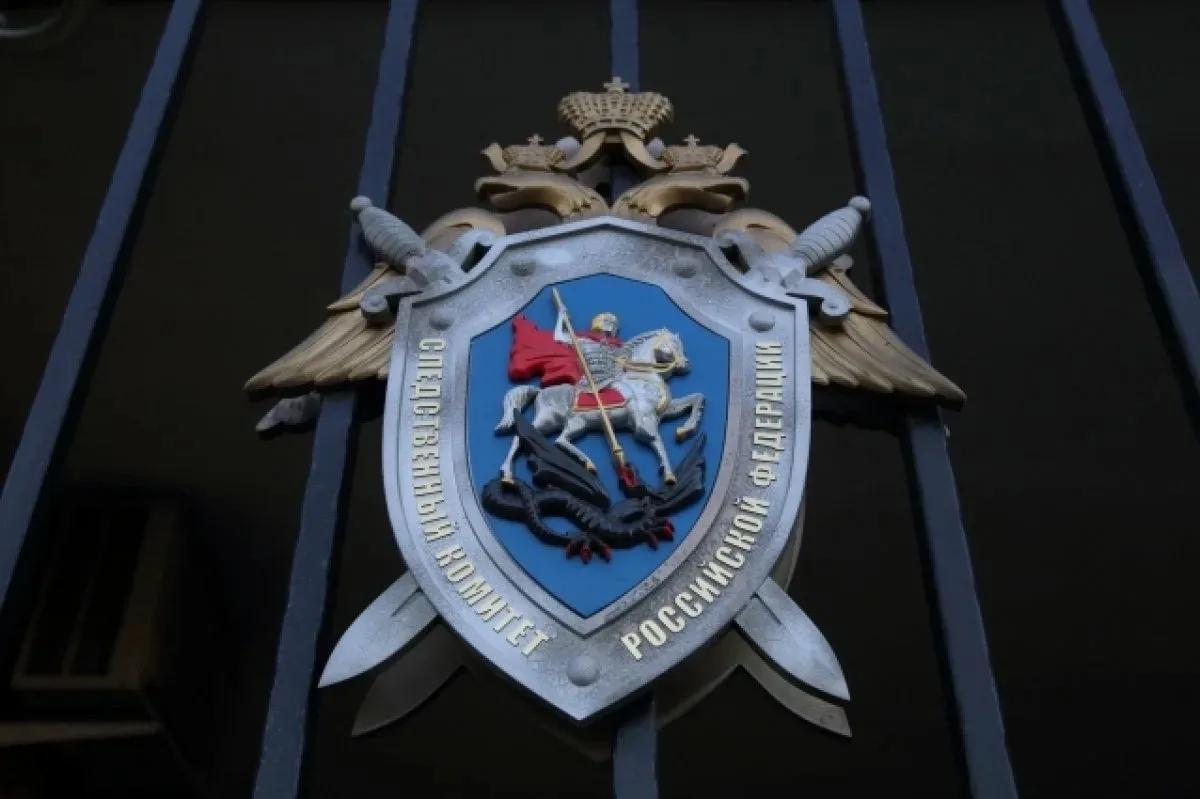 Следком: ⚖️В Боровичах завершено расследование уголовного дела о публичном демонстрировании нацистск