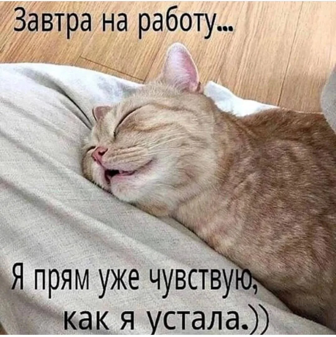 Вишенка на Торте