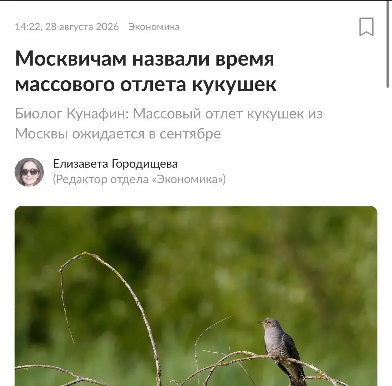 Ну… скоро осень. Традиционно отлетят кукушки у некоторых 😁