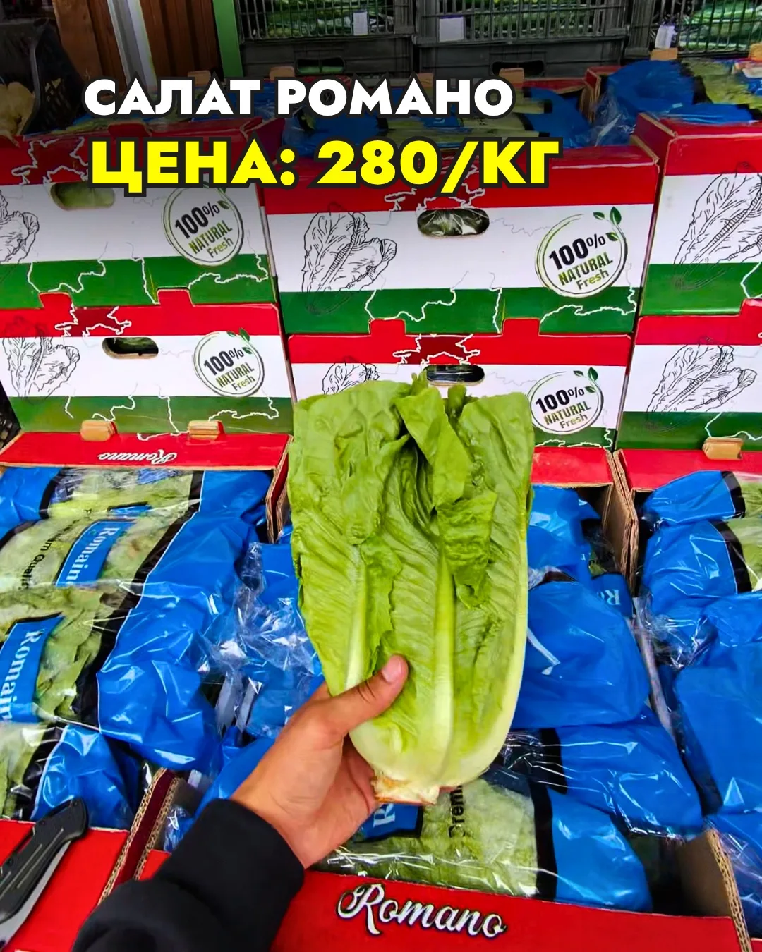 🤗 Товарищи, напоминаем наш каталог открыт и ночью.
