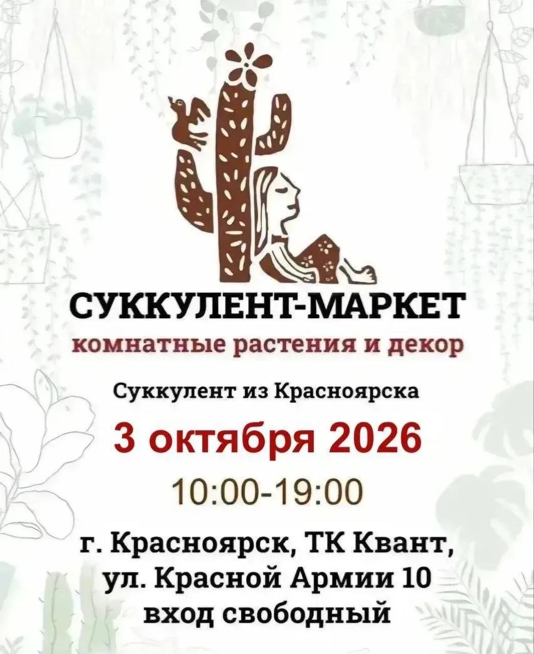 Суккулент- маркет комнатных растений и декора