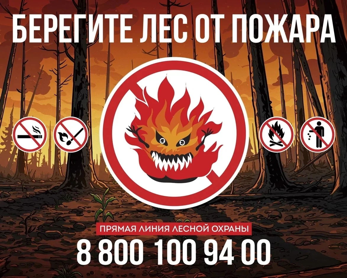 🔥 На опережение стихии: профилактика и борьба с лесными пожарами 🔥