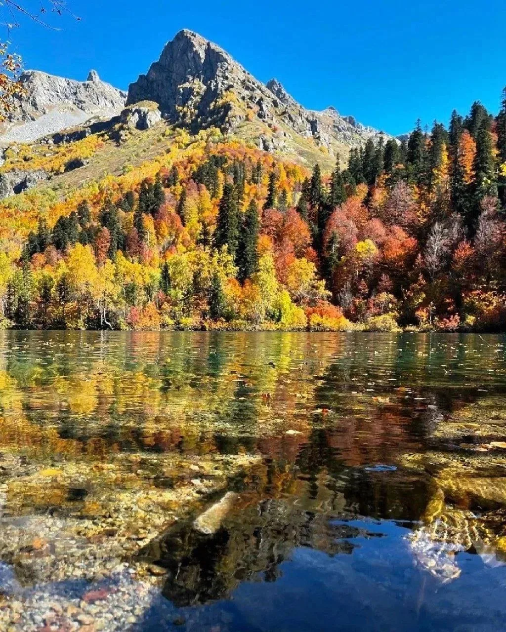 🍂Осень на озере Кардывач