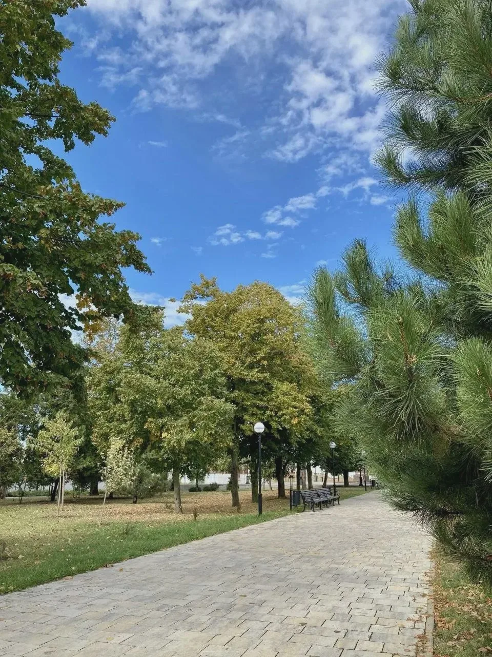 🌤️ Антициклон принёс сухую и ветреную погоду