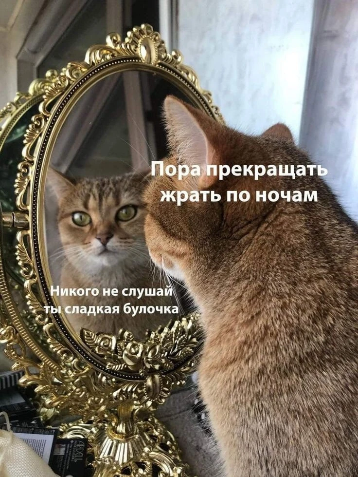 Изображение 1 к публикации «Терапевт твоего сердца»