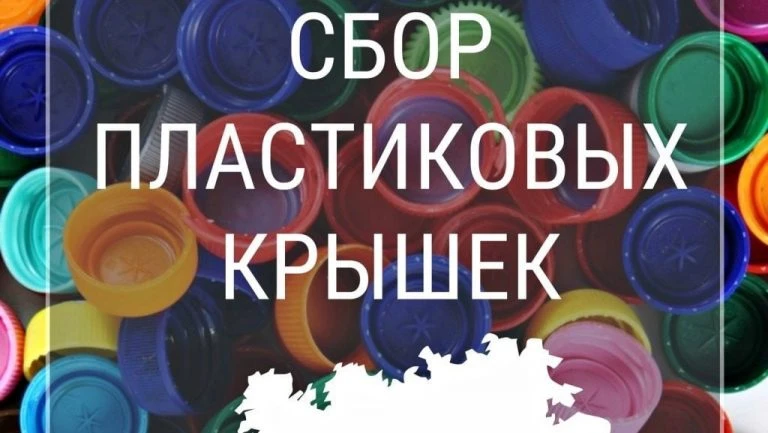 Спаси мир, не вставая с дивана (ну, почти) 😉🌍