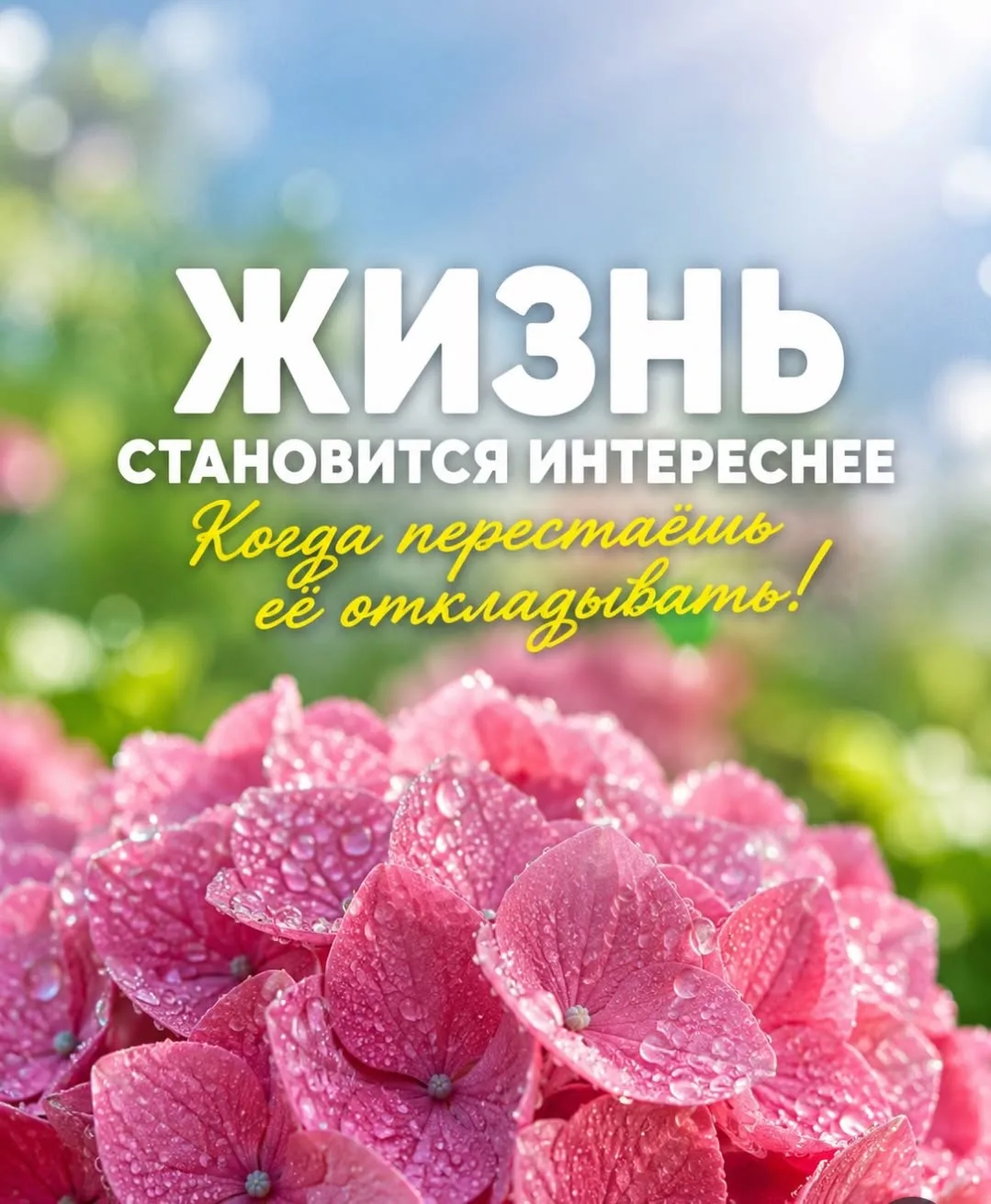 МИР ПОЗИТИВА 🤩 ОТКРЫТКИ!