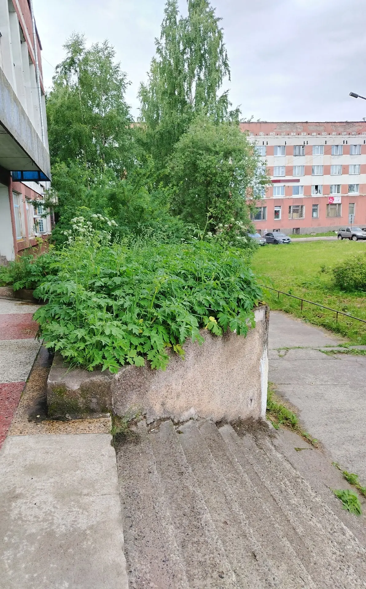 Клумба "с цветами" у центральной почты