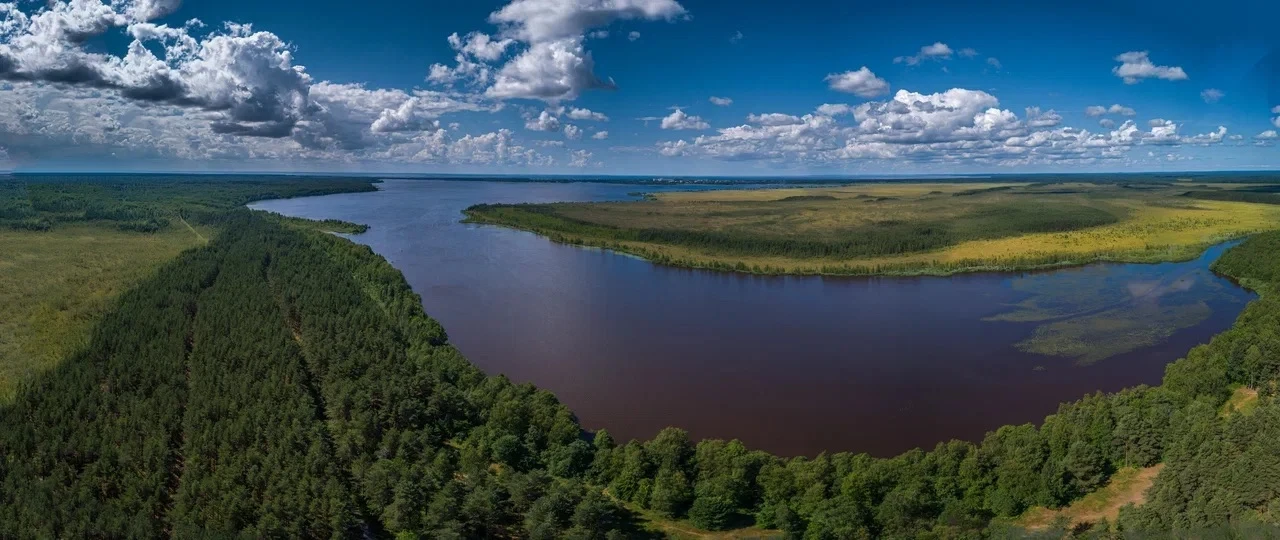 🌿 Санкт‑Петербург и Ленинградская область вступают в новую экологическую эпоху