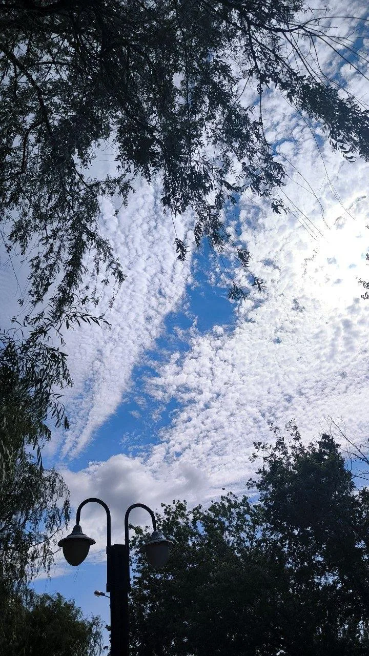Облака над городом заметила подписчица ☁️

Прислать новость | Обсудить в чате
