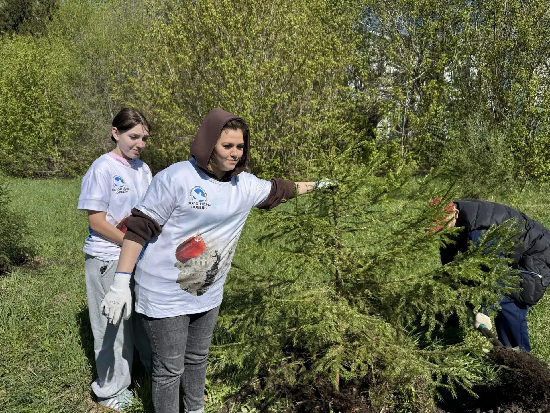 🌲Сегодня наши девочки Алёна и Даша приняли участие во Всероссийской акции "Сад памяти"...