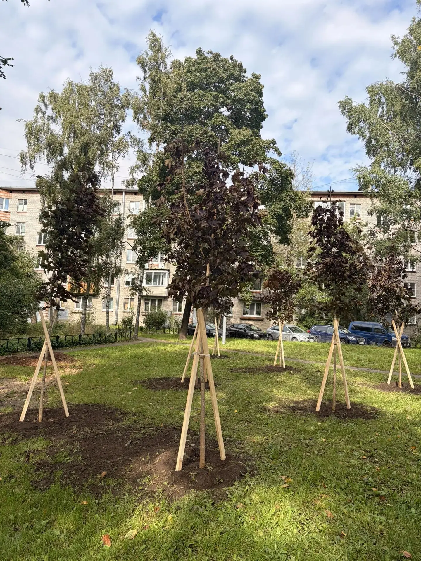 Сегодня наш округ стал зеленее! Состоялась ежегодная акция «Дерево знаний».