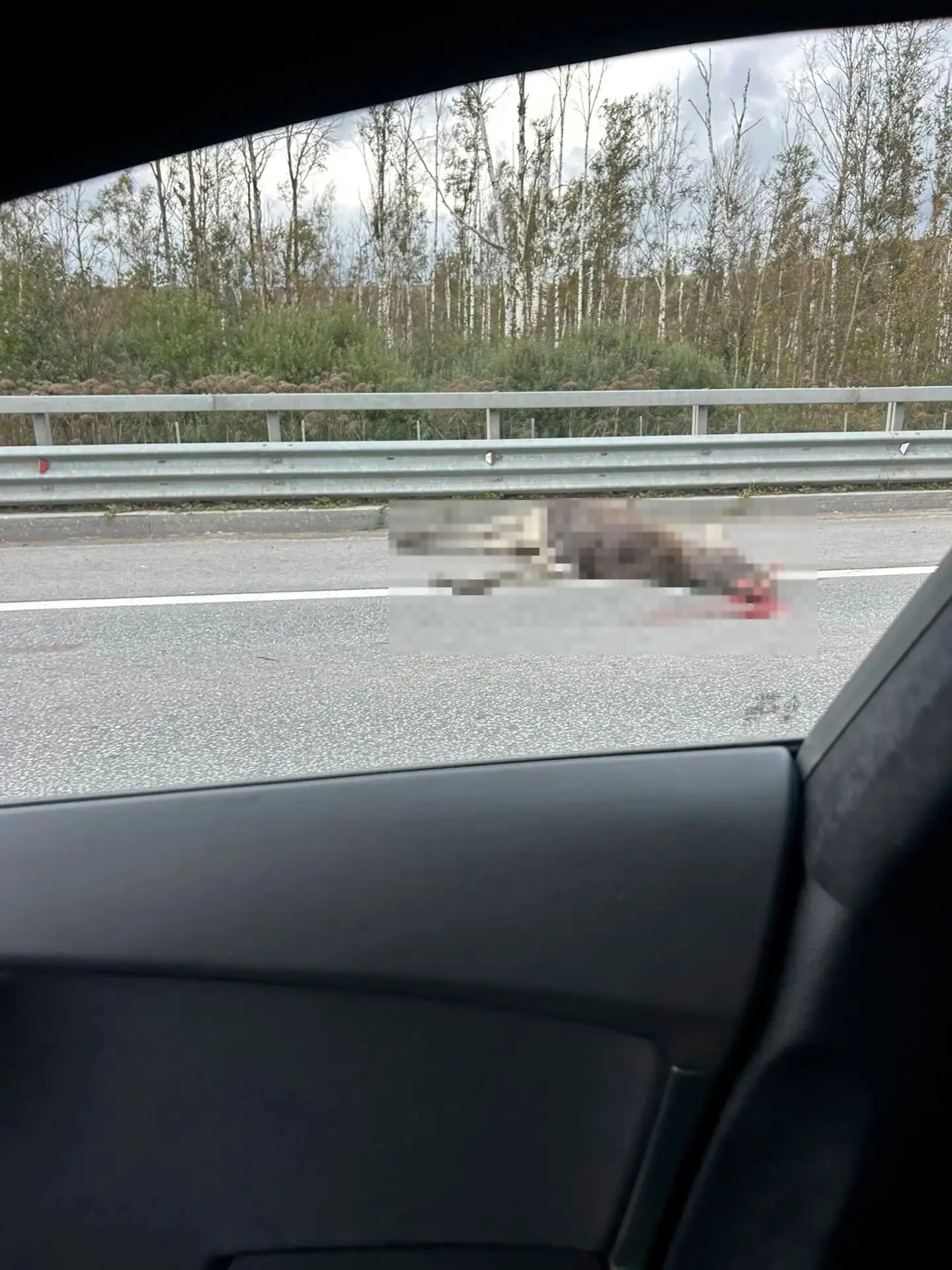 На КАД в районе свалки между съездами на Комендантский и ЗСД 17.09.2026, примерно 17:00...
