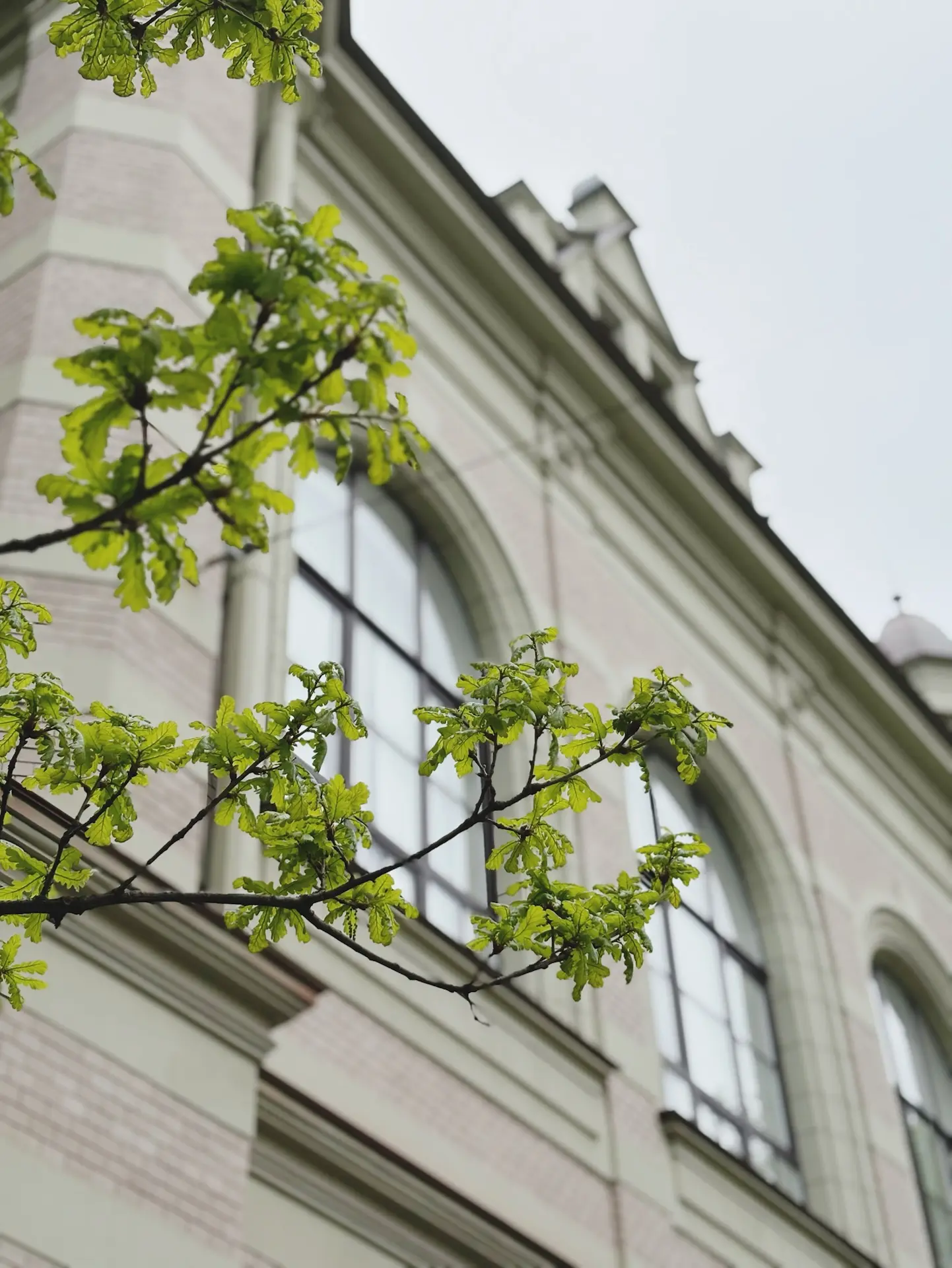 😊 Отличных выходных, лэтишники!  Погуляйте по улицам Петербурга, вдохните аромат цветущей черемухи и
