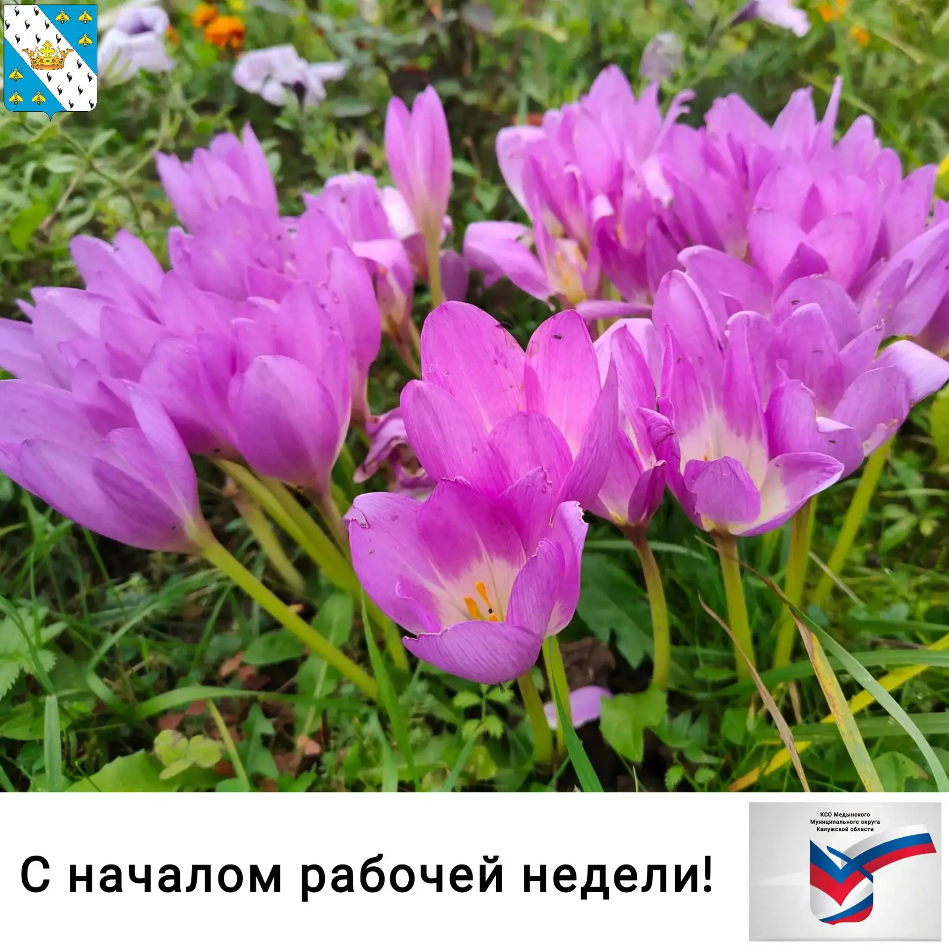 ☀С началом рабочей недели, друзья!