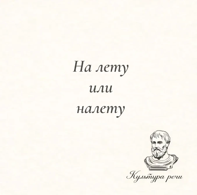 На лету или налету

Правильно — «на лету», раздельно: поймать на лету, понять на лету, перекусить на