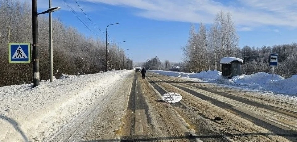 Водителя-узбекистанца, сбившего пешехода и скрывшегося в Палехском районе, арестовали на два месяца 