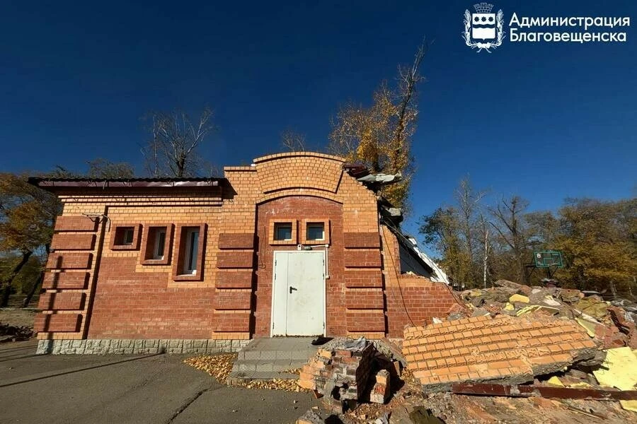 Рабочие начали демонтаж одноэтажного кирпичного туалета на набережной Амура. Реконструк...