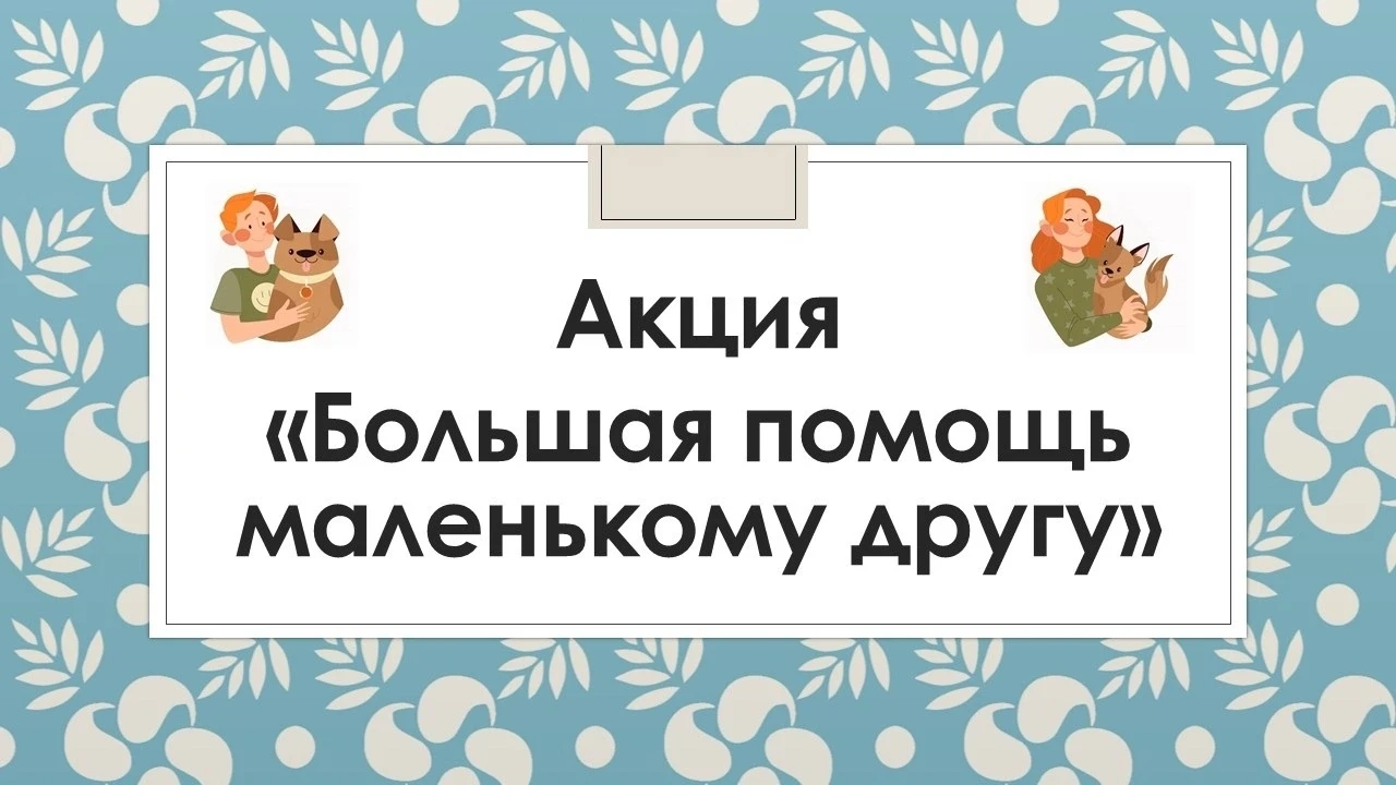 🐈 Акция «Большая помощь маленькому другу» в первой школе