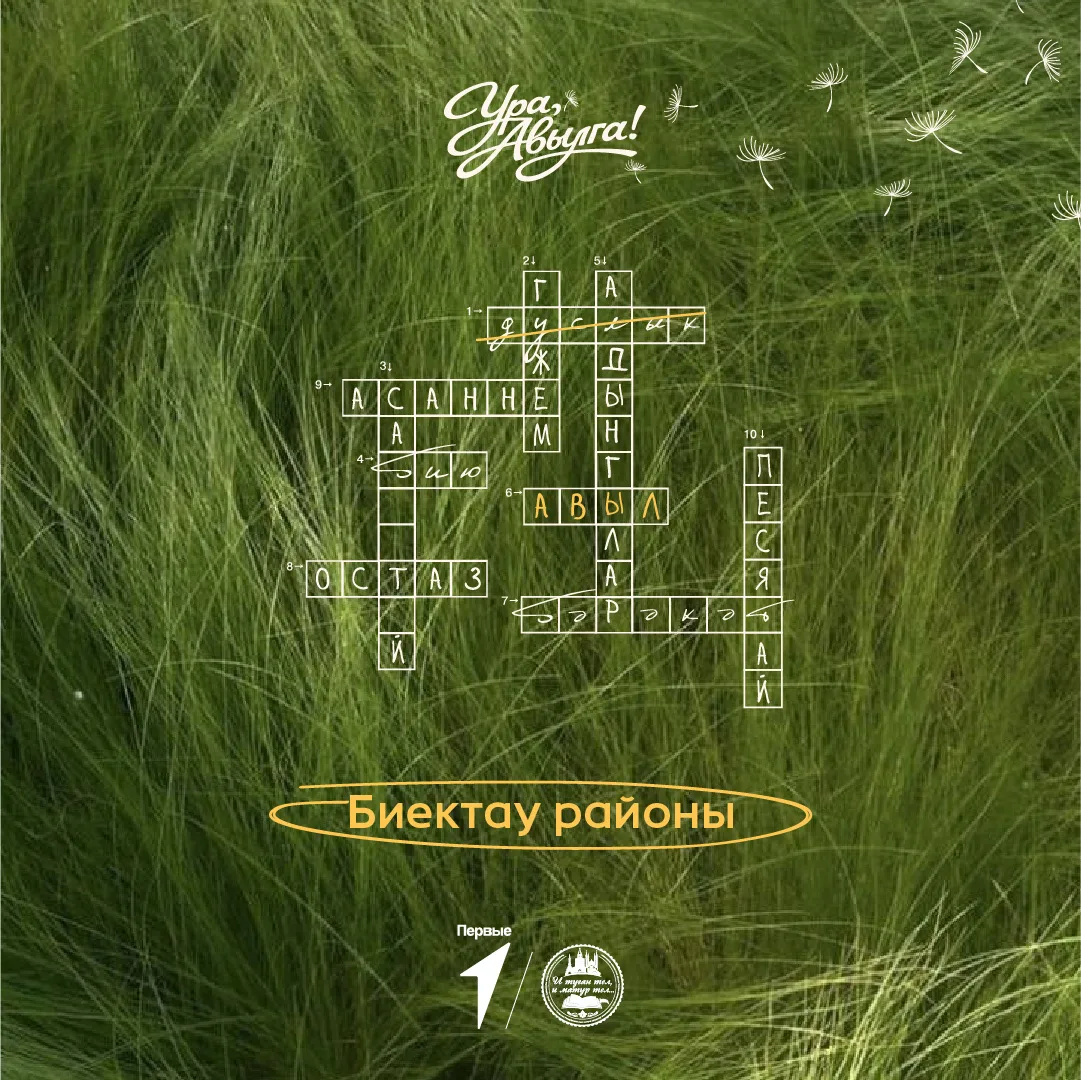 Районыбызның өч авылында бушлай «Ура, Авылга!» сменалары узачак😍