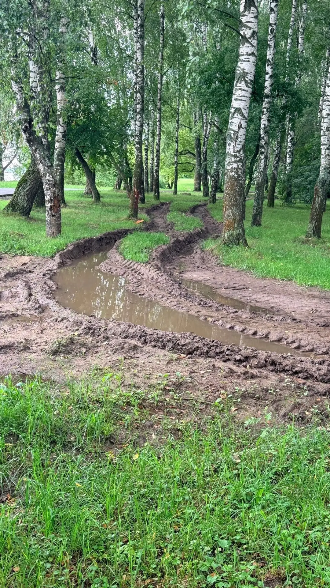 🌳 Берег Волги в посёлке Приволжский, где по программе «Формирование комфортной городской среды» соз