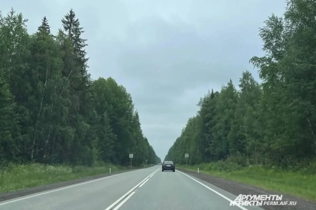 Автотрассу из ДНР до Ростовской области перекрыли для безопасности жителей

По информации ТАСС, ночь