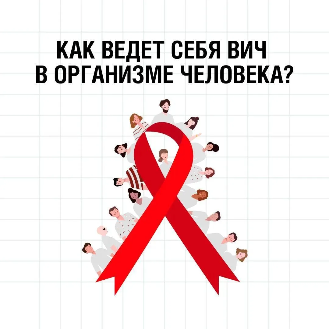 🩺 Как ведёт себя ВИЧ в организме человека?