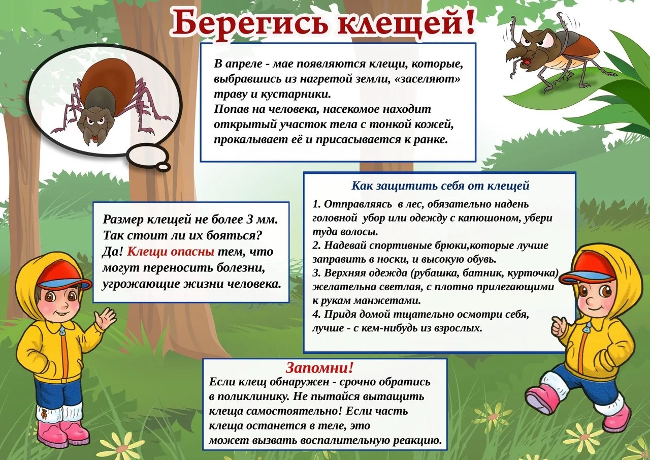• Клещи обитают в траве, невысоких кустарниках и никогда - на деревьях. Клещ прикрепляется к одежде 