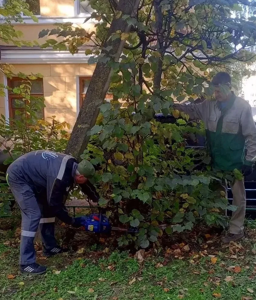 🌿 Продолжаем наводить порядок во дворах