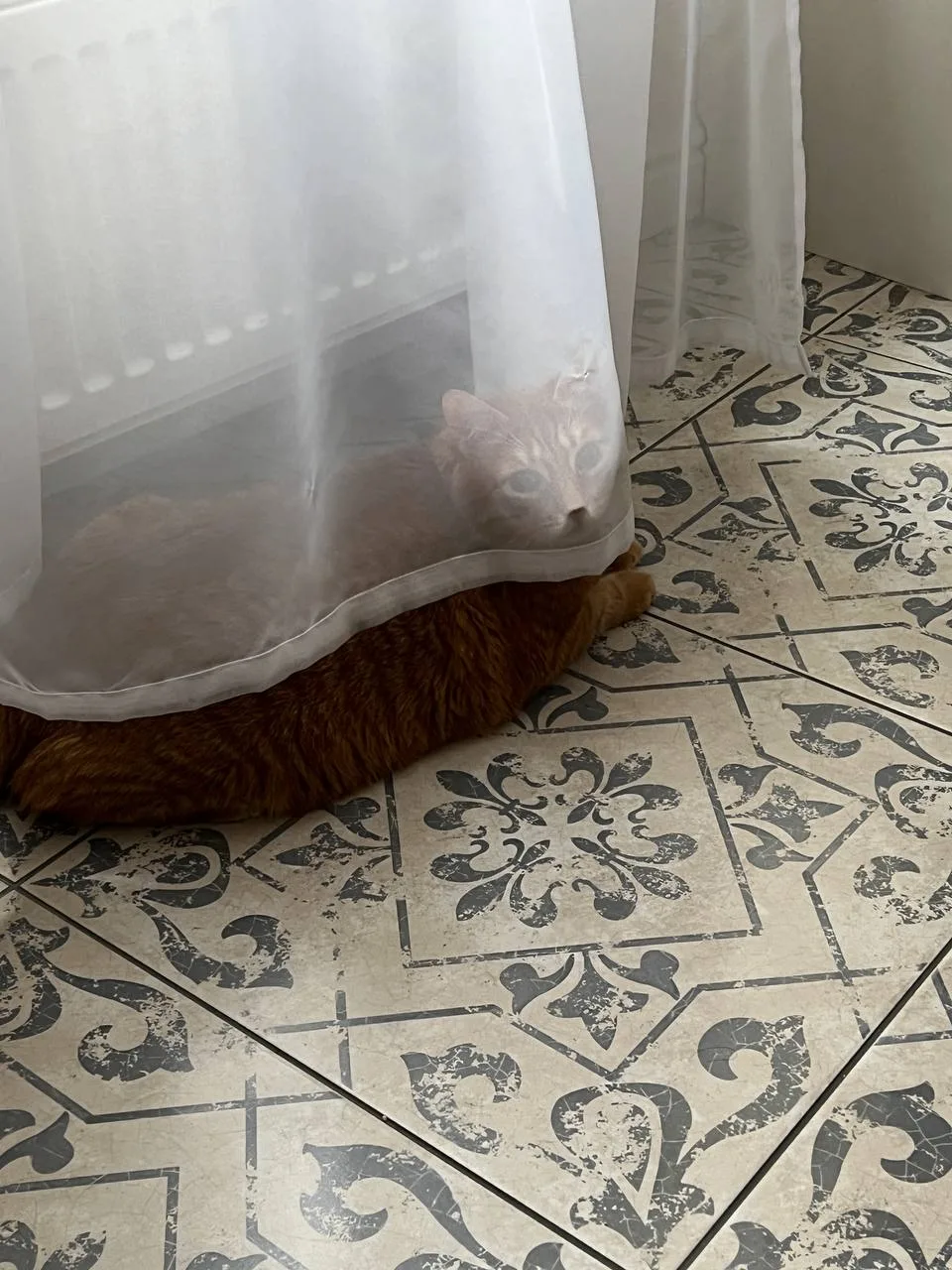 очень страшно, мы не знаем что это такое..