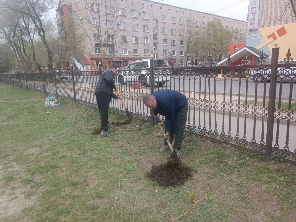 Сегодня наша школа с гордостью присоединилась к всероссийской акции «Сад памяти». На территории школ