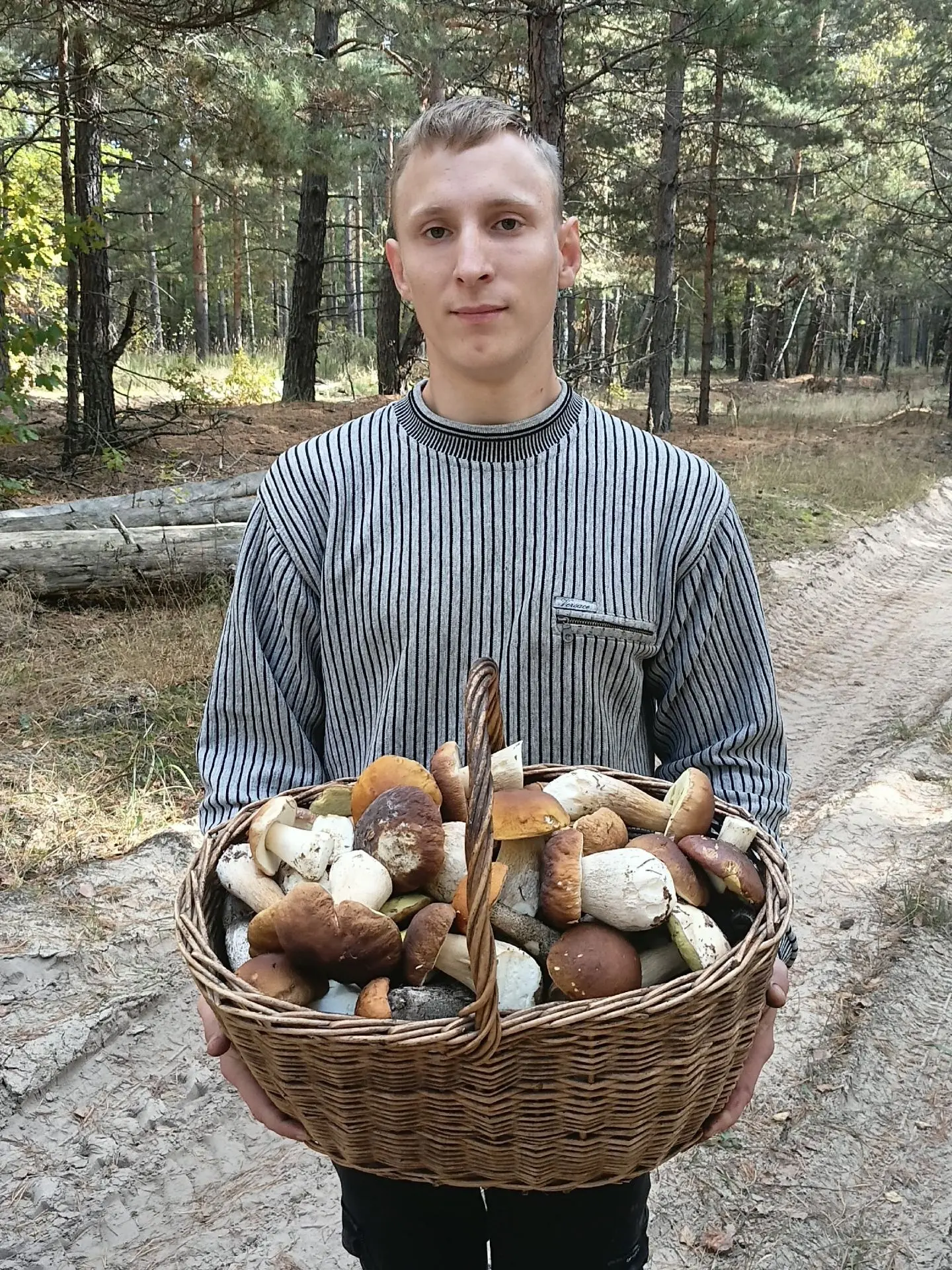 Очень много грибов.