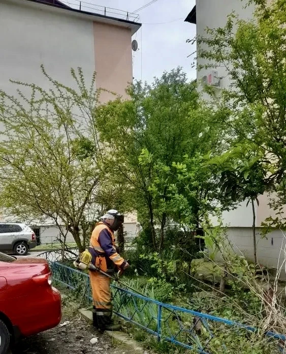 🌿✨ Работы по благоустройству территорий продолжаются! На обслуживаемых территориях активно ведутся м
